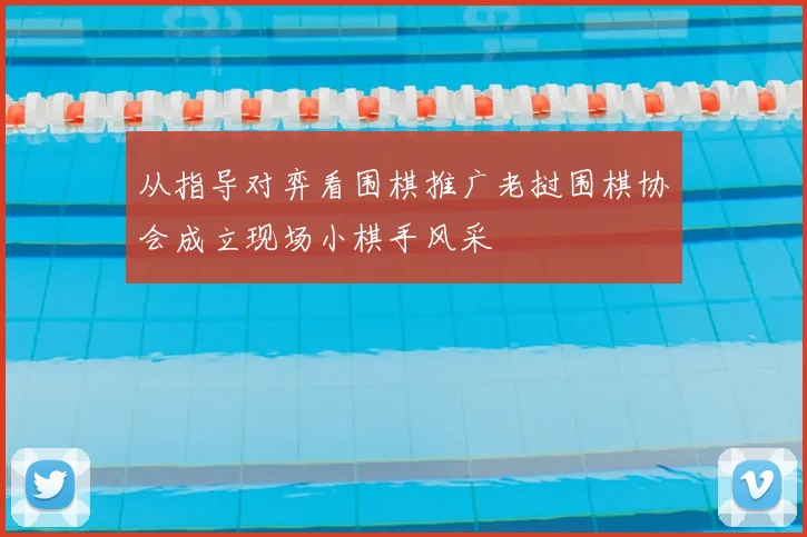 从指导对弈看围棋推广老挝围棋协会成立现场小棋手风采